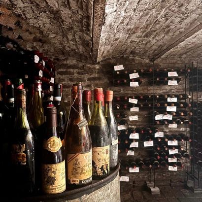 Le lot numéro 1 n'est pas à vendre.
Notre...