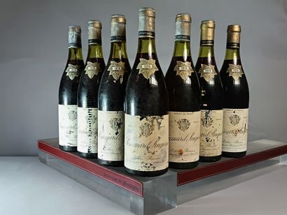 7 Bouteilles POMMARD 1er Cru RUGIENS 1976...