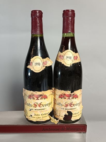 2 Bouteilles NUITS SAINT GEORGES Les Meurgers...
