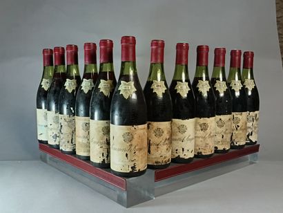 12 Bouteilles POMMARD 1er Cru RUGIENS 1972...