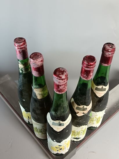 5 Bouteilles TRAMINER KITTERLE 1971 - Domaine...