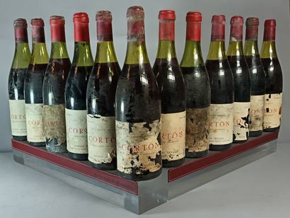 12 Bouteilles CORTON Grand Cru - Daniel SENARD
Étiquettes...