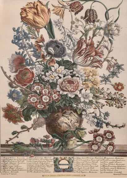 Trois reproductions de gravures de fleurs....