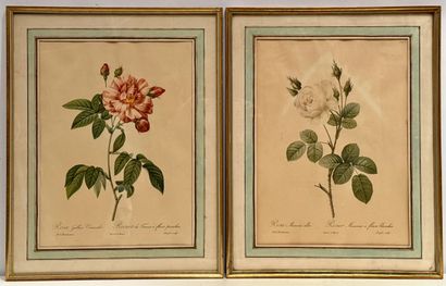 Lot de 6 gravures diverses.
Dimensions encadrement...