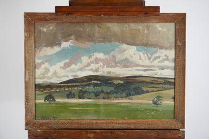 Huile sur toile. Paysage de campagne. Signé...