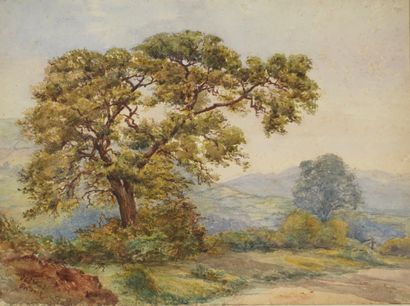 WARD JC. Aquarelle représentant un paysage...
