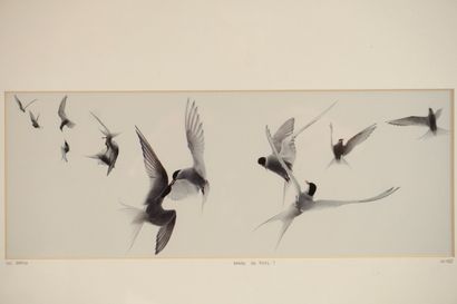 Luc HARDY. Titrée 