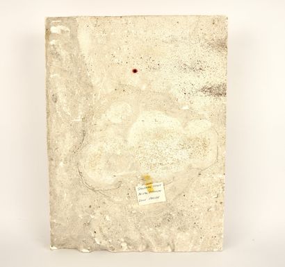 Philippe VAN EECKHOUDT (1966-). Sculpture...