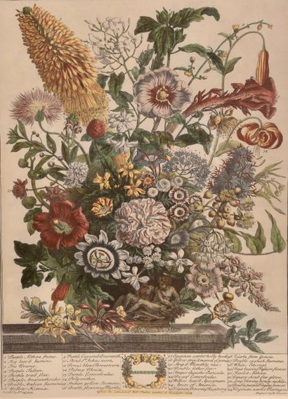 Trois reproductions de gravures de fleurs....