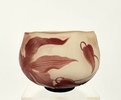 Emile GALLE ( 1846-1904 ). Inv 26004 /31...