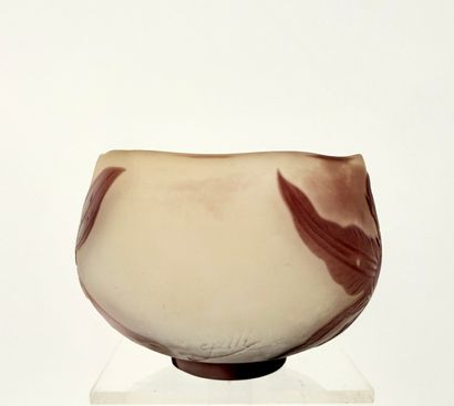 Emile GALLE ( 1846-1904 ). Inv 26004 /31...