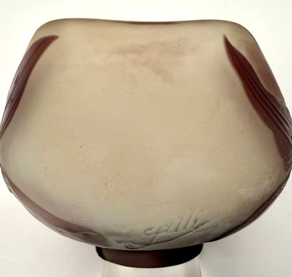 Emile GALLE ( 1846-1904 ). Inv 26004 /31...