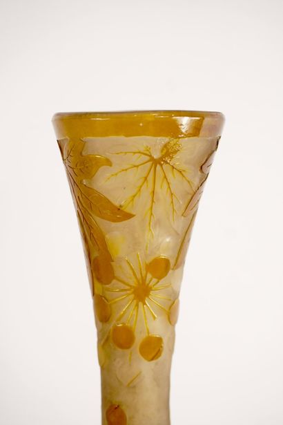 Emile GALLE (1846-1904). Ampelopsis vase....
