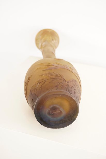 Emile GALLE (1846-1904). Ampelopsis vase....