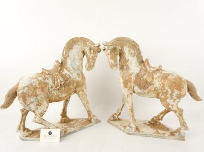 Chine. 2 grands chevaux en terre cuite.
Dimensions:...