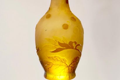 Emile GALLE (1846-1904). Ampelopsis vase....