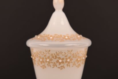 OPALINE. Pot couvert