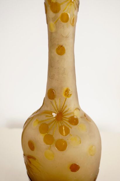 Emile GALLE (1846-1904). Ampelopsis vase....