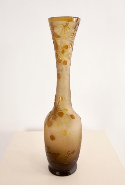 Emile GALLE (1846-1904). Ampelopsis vase....