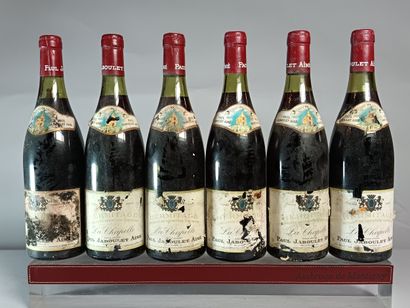 6 Bottles HERMITAGE La Chapelle 1979
- Paul...