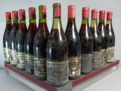 11 Bouteilles CHAMBERTIN Grand Cru
- CAMUS...