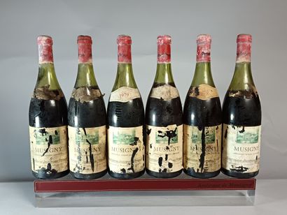 6 Bottles MUSIGNY Grand cru 1979
- Domaine...