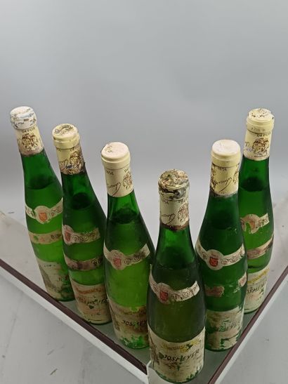 6 Bottles ALSACE DIVERS DOMAINE JOSMEYER...