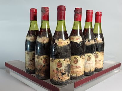 6 Bottles ECHEZEAUX Grand Cru 1972
- MUGNERET...
