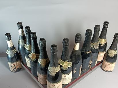 12 Bottles BERTANI RECIOTO
- VALPOLICELLA...