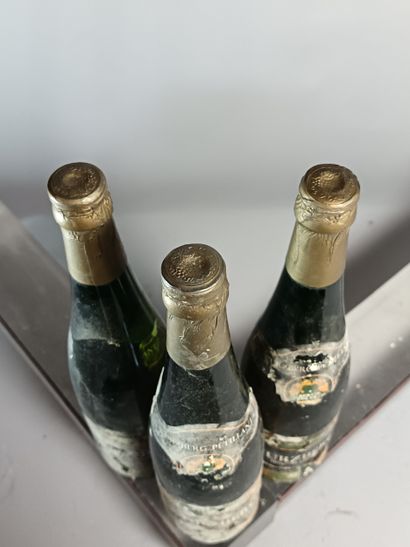 3 Bottles WURZBERG PETILLANT de La MOSSELLE
...