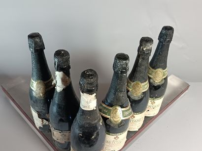 6 Bottles BERTANI RECIOTO
- VALPOLICELLA...