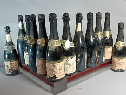 12 Bottles BERTANI RECIOTO
- VALPOLICELLA...