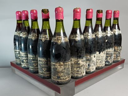 10 Bouteilles CHAMBERTIN Grand Cru 1985
-...
