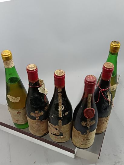 6 Bottles MISCELLANEOUS ITALIAN WINES
4 AMARONE...