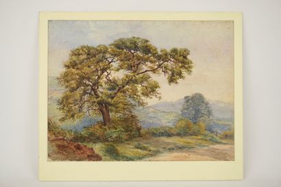 WARD JC. Watercolor depicting a landscape....