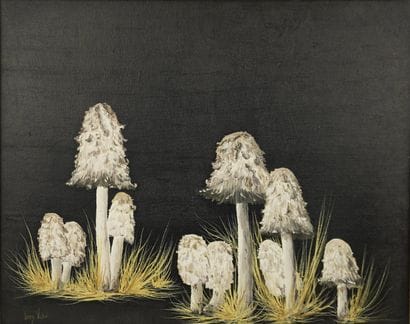 BEULEUN Jean-Victor. Inv 26013-3. Nature...