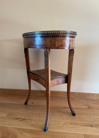 Napoleon III. Inv 26016-17.
Small flying...
