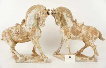 Chine. 2 grands chevaux en terre cuite.
Dimensions...