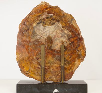 Minéraux et décoration. Tranche d'arbre fossilisé,...
