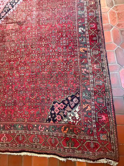 Rugs. Persian. Moud. Inv. N°10 V 26007.
High...