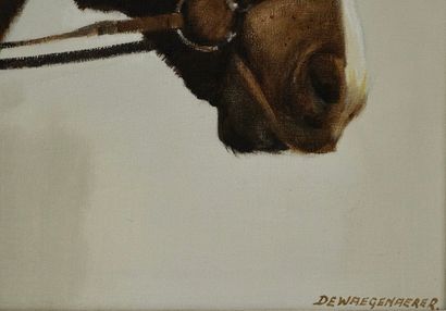 DE WAEGENAERE Raymond (1906-?) 
Inv. N° 34...