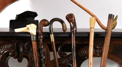 SWAINE CO London. 6 canes and a lady's parasol...
