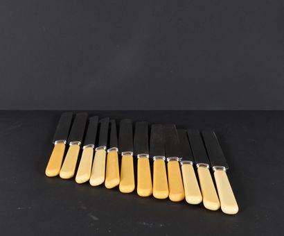 Set of twelve clear-handled knives. N°26016-64.
Stainless...