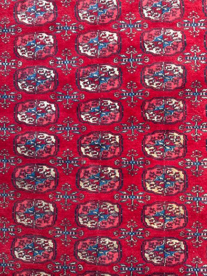 BOUKHARA. N° 25024-10.
Jaipur carpet. Circa...