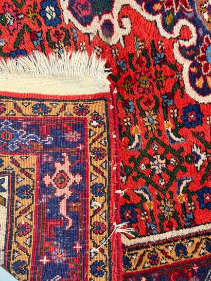 BIDJAR. Persia. N° 25024-12. 
Handmade rug....