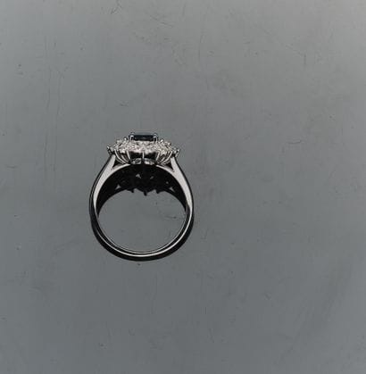 Daisy ring in 18K (750°°°) white gold (hallmark:...