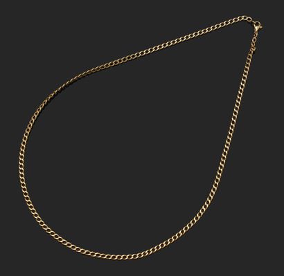 18K (750°°°) yellow gold chain with gourmet...