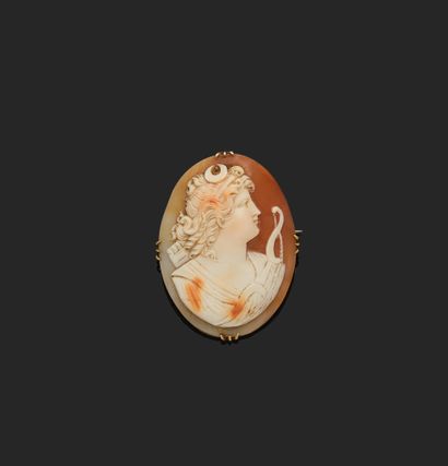 Broche en or jaune 18K (750°°° - poinçon...