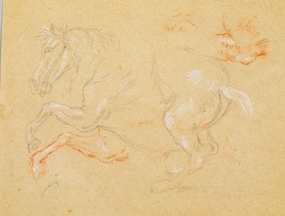 19th century FRENCH SCHOOL,
Study of a prancing...