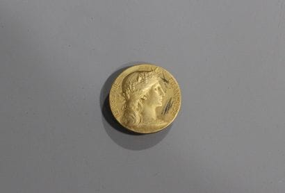 Une médaille en vermeil, 